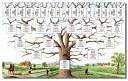 L’arbre informatif